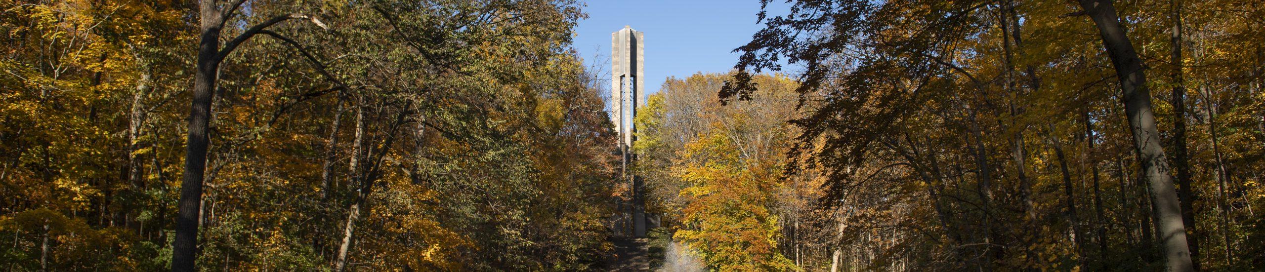 A photo of the Carillon in the distance, framed by trees.