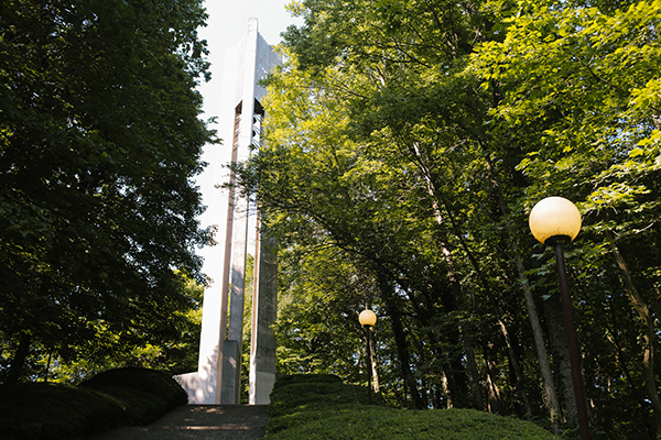 在绿树和灯柱之间的博彩平台排名 Carillon结构